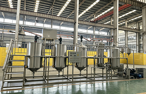 Castor Oil Refining Equipment ( 1–30 TPD)