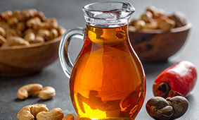  50–300 TPD Cashew Nut Shell Oil Extraction Lines