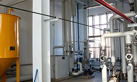 50 TPD Rubber Seed Oil Plant Cost