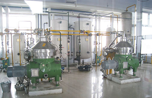 Rice Bran Oil Production Line 