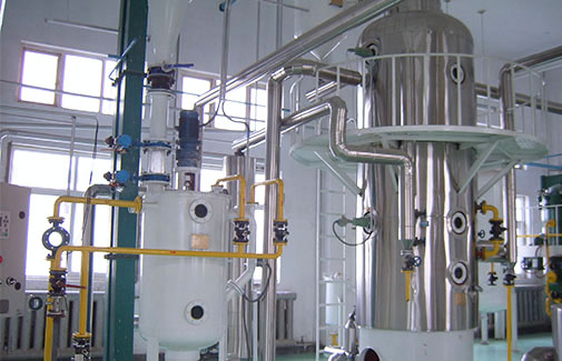 Rice Bran Oil Production Line 