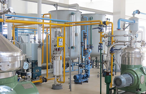 Rice Bran Oil Production Line 